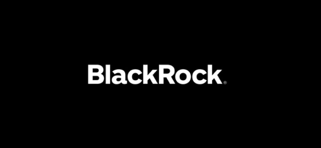 blackrock-que-es-