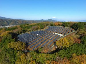 Huertos Solares que son Costes y Rentabilidad