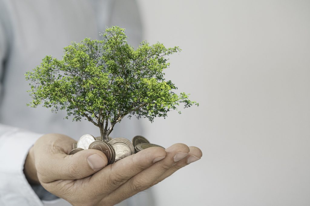 ¿Qué son los bonos verdes? Rentabilidad, riesgo y oportunidades de inversión